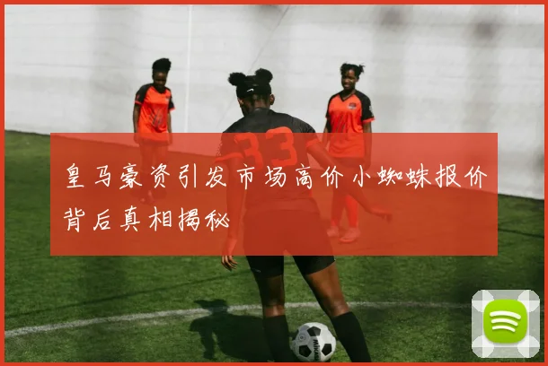 皇马豪资引发市场高价小蜘蛛报价背后真相揭秘